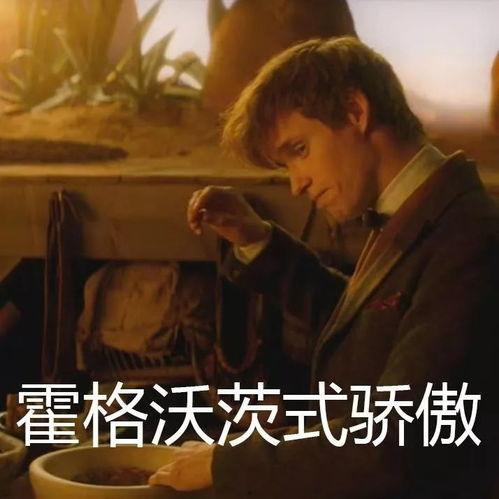 小麦带你吃麻瓜 哈迷,哈迷的奇幻之旅  第3张